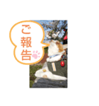 ピコスタイル②（個別スタンプ：7）