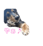 そら降臨（個別スタンプ：2）