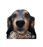 そら降臨（個別スタンプ：5）