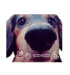 そら降臨（個別スタンプ：10）