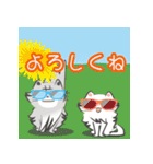 飛び出す♪ふわねこスタンプ2（個別スタンプ：20）