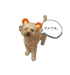 ナナ太郎3（個別スタンプ：1）