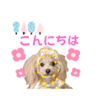 マロンあいさつスタンプ（個別スタンプ：3）