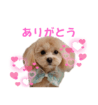 マロンあいさつスタンプ（個別スタンプ：8）