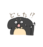 おもちみたいなダックスフンド（個別スタンプ：13）