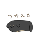 おもちみたいなダックスフンド（個別スタンプ：16）