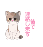 ねこねこファミリー！（個別スタンプ：9）