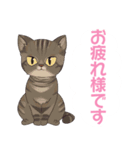 ねこねこファミリー！（個別スタンプ：10）