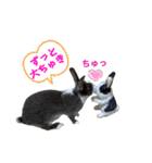 ミニうさぎのダッチ♡仲間（個別スタンプ：2）