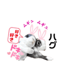 ミニうさぎのダッチ♡仲間（個別スタンプ：3）