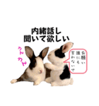 ミニうさぎのダッチ♡仲間（個別スタンプ：6）