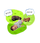 せらくんのすたんぷ（個別スタンプ：11）