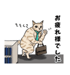 ゆるーい 猫にまみれたがりのスタンプ（個別スタンプ：18）