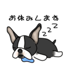 ど〜にもブルドッグ（個別スタンプ：7）