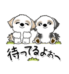 シーズー犬 125『よく使う言葉』（個別スタンプ：30）