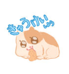ゲーマーのハムスタースタンプ（個別スタンプ：5）