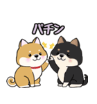 柴犬ゆりちゃん 文字ありスタンプ 犬の日（個別スタンプ：2）