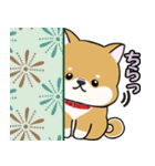 柴犬ゆりちゃん 文字ありスタンプ 犬の日（個別スタンプ：3）