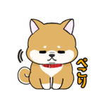 柴犬ゆりちゃん 文字ありスタンプ 犬の日（個別スタンプ：8）