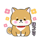 柴犬ゆりちゃん 文字ありスタンプ 犬の日（個別スタンプ：12）