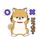 柴犬ゆりちゃん 文字ありスタンプ 犬の日（個別スタンプ：13）