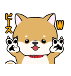 柴犬ゆりちゃん 文字ありスタンプ 犬の日（個別スタンプ：16）