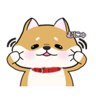 柴犬ゆりちゃん 文字ありスタンプ 犬の日（個別スタンプ：18）