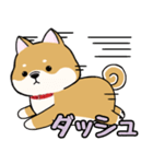 柴犬ゆりちゃん 文字ありスタンプ 犬の日（個別スタンプ：21）