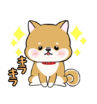 柴犬ゆりちゃん 文字ありスタンプ 犬の日（個別スタンプ：22）