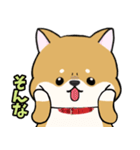 柴犬ゆりちゃん 文字ありスタンプ 犬の日（個別スタンプ：26）