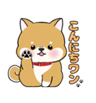 柴犬ゆりちゃん 文字ありスタンプ 犬の日（個別スタンプ：34）