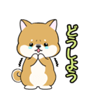 柴犬ゆりちゃん 文字ありスタンプ 犬の日（個別スタンプ：37）