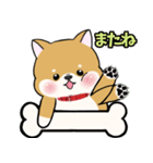 柴犬ゆりちゃん 文字ありスタンプ 犬の日（個別スタンプ：39）