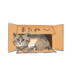 レミ君の日常（個別スタンプ：20）