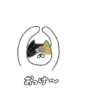 ニコニコねこちゃん（個別スタンプ：1）