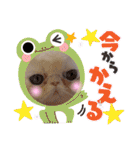 エキゾチックロングヘアの弥七♡（個別スタンプ：38）