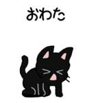 黒猫のたん五郎 その1（日常会話）（個別スタンプ：16）