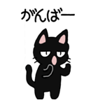 黒猫のたん五郎 その1（日常会話）（個別スタンプ：25）