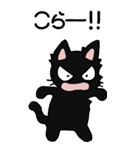 黒猫のたん五郎 その1（日常会話）（個別スタンプ：33）