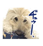 ポポちゃんの割と使いやすいスタンプ（個別スタンプ：4）