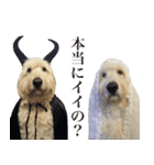 ポポちゃんの割と使いやすいスタンプ（個別スタンプ：12）