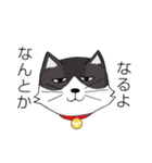 ジト目猫ちゃん（個別スタンプ：1）