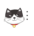 ジト目猫ちゃん（個別スタンプ：5）