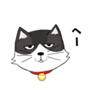 ジト目猫ちゃん（個別スタンプ：6）