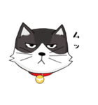 ジト目猫ちゃん（個別スタンプ：7）