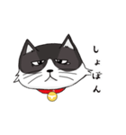 ジト目猫ちゃん（個別スタンプ：8）