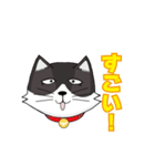 ジト目猫ちゃん（個別スタンプ：10）