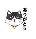 ジト目猫ちゃん（個別スタンプ：11）