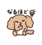 かわいいプードル犬の日常スタンプ（個別スタンプ：9）