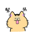 日常ねこ①（個別スタンプ：4）